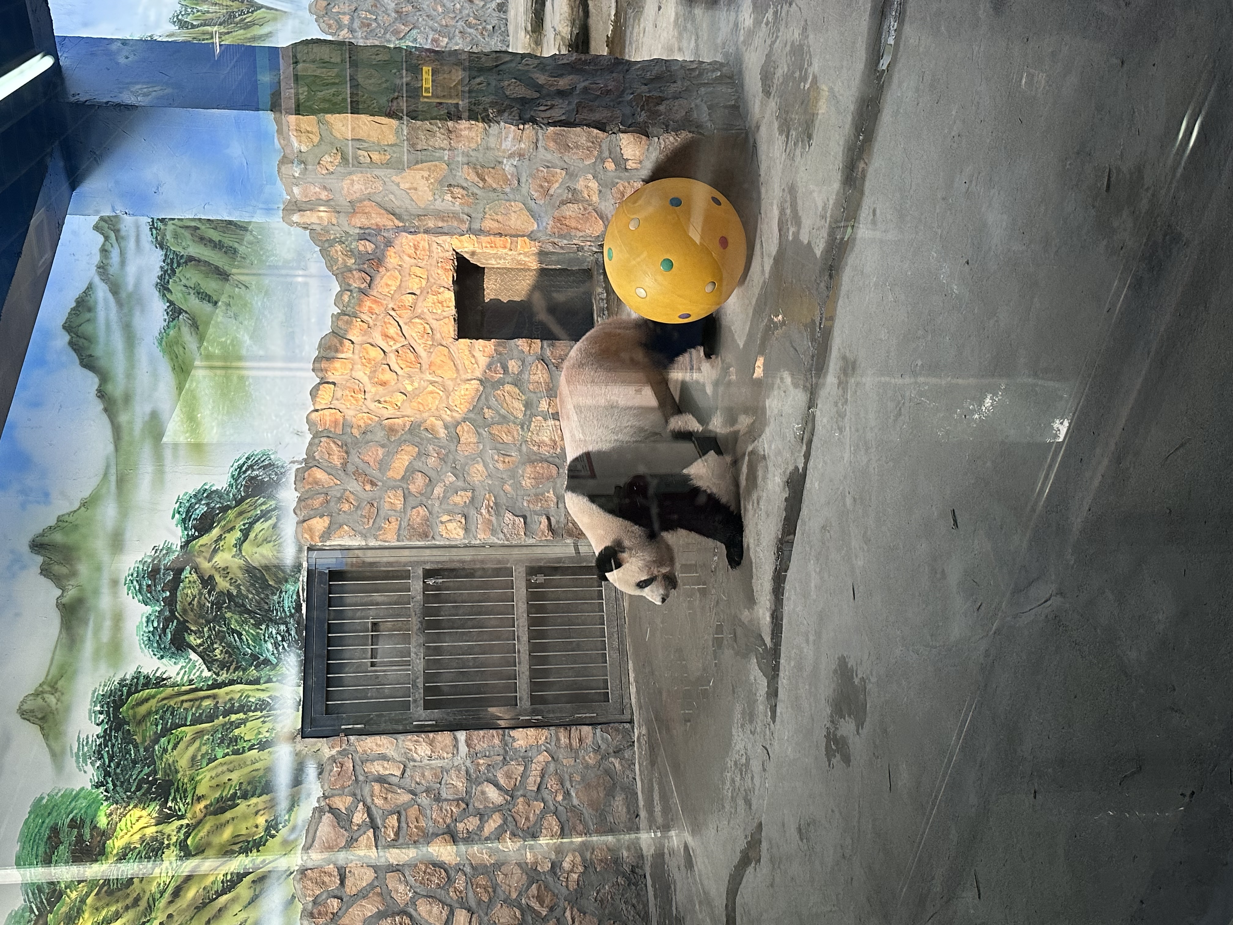 IMG_3359.jpeg IMG_3359.jpeg