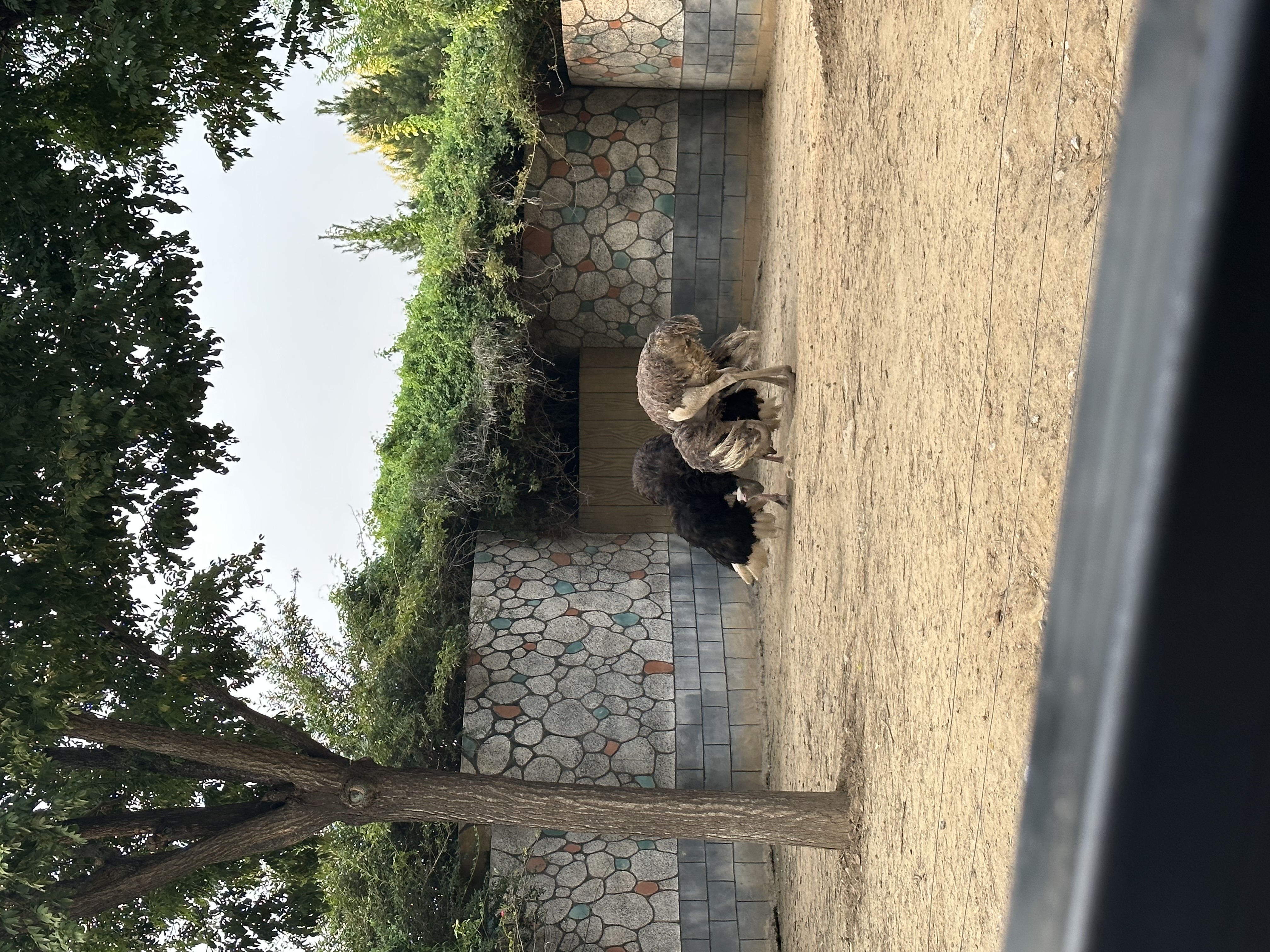 IMG_3392.jpeg IMG_3392.jpeg