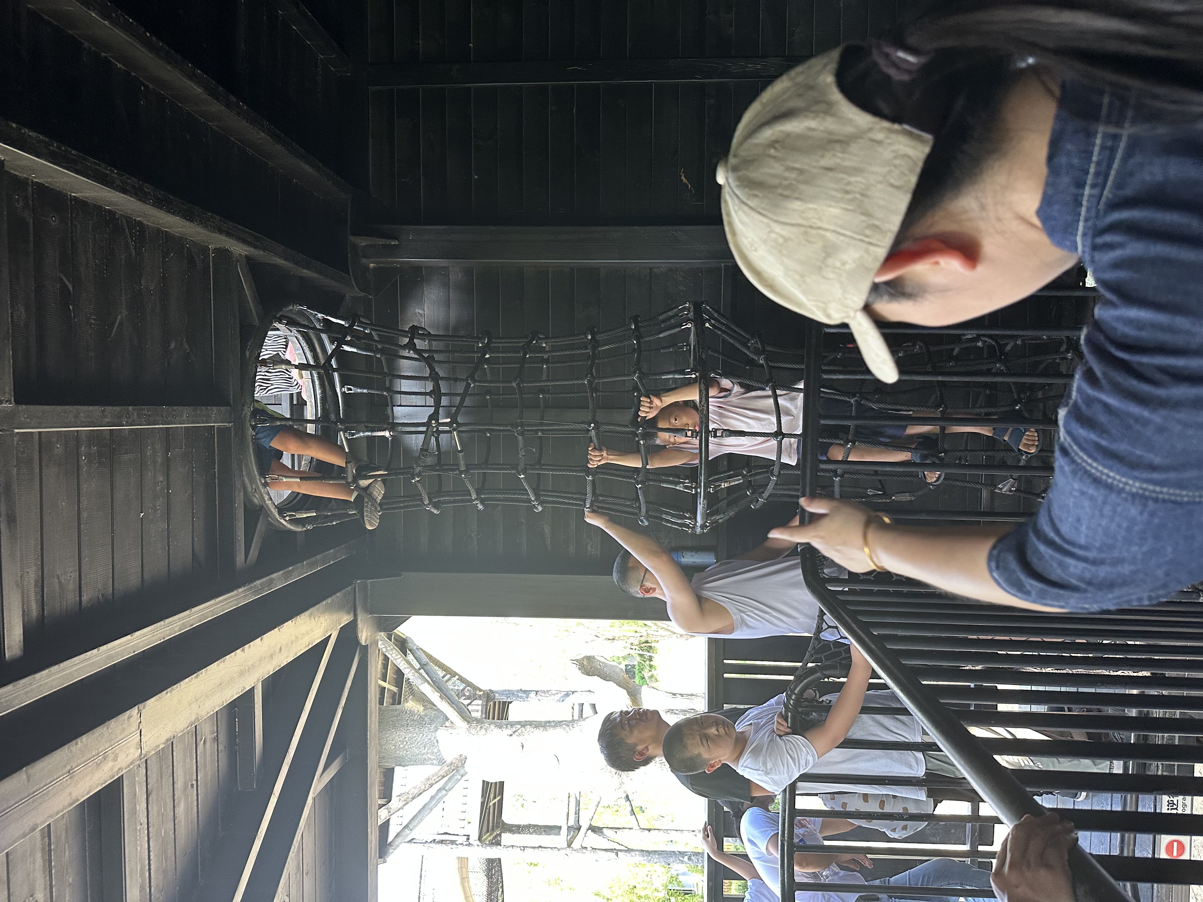 IMG_3229.jpeg IMG_3229.jpeg