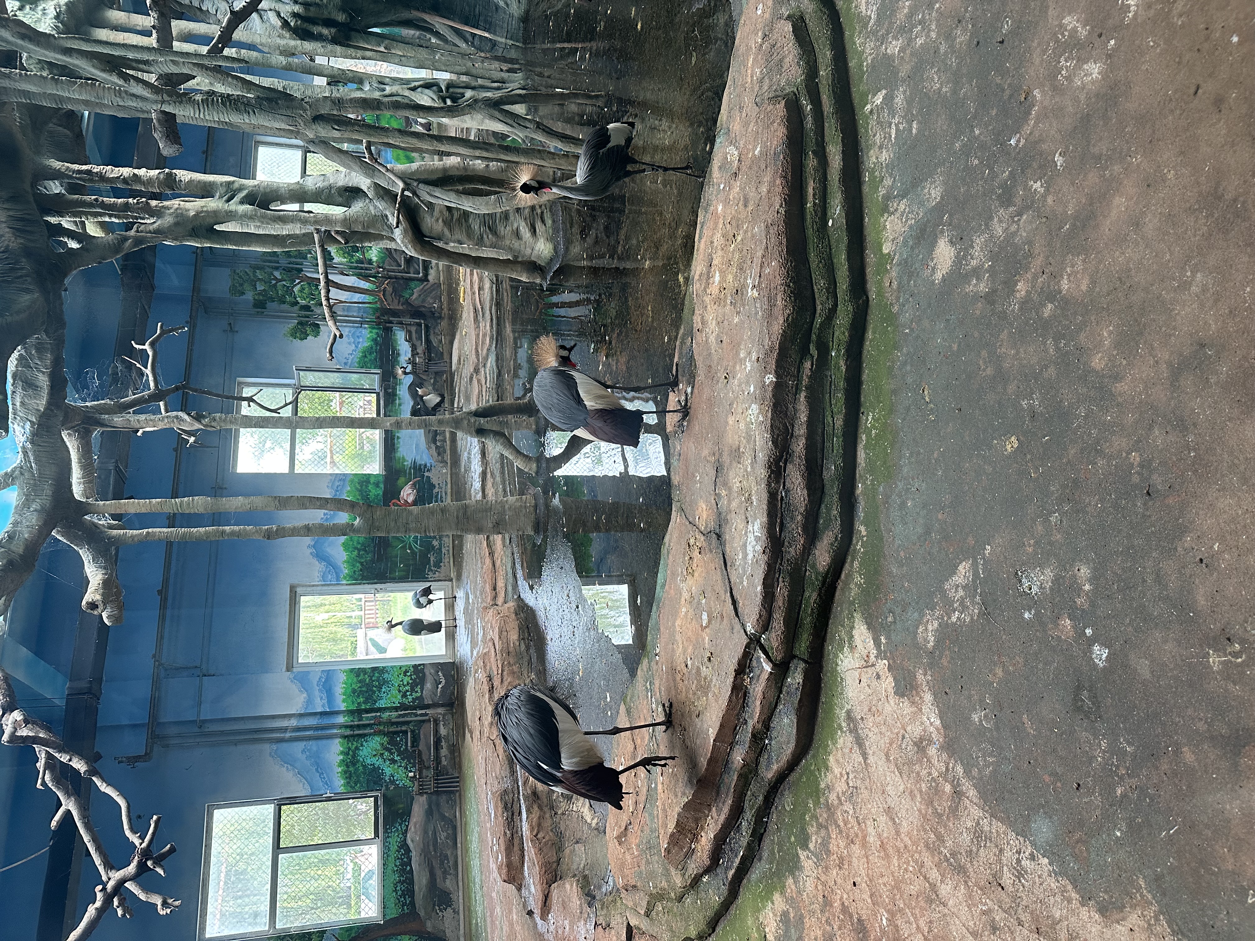IMG_3360.jpeg IMG_3360.jpeg