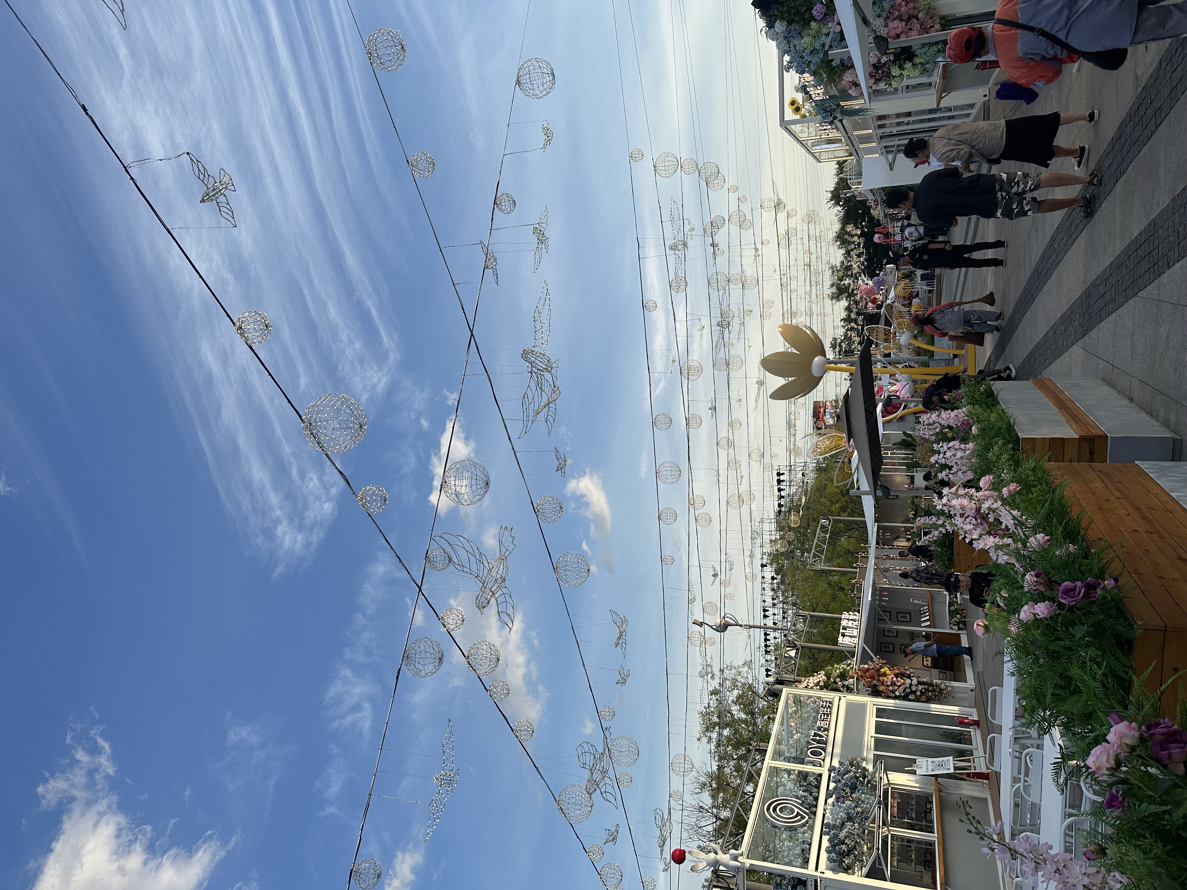 IMG_3725.jpeg IMG_3725.jpeg