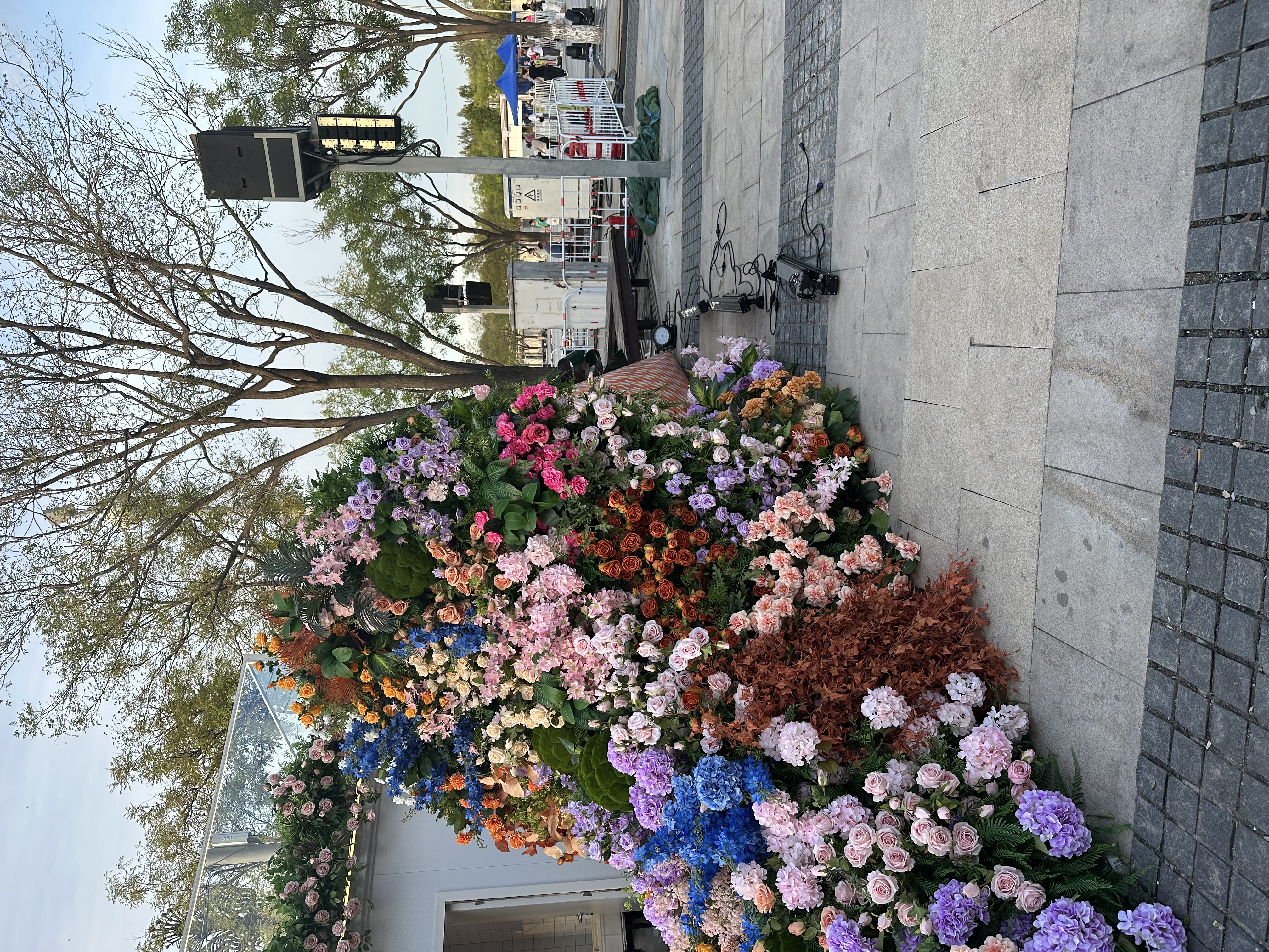 IMG_3727.jpeg IMG_3727.jpeg