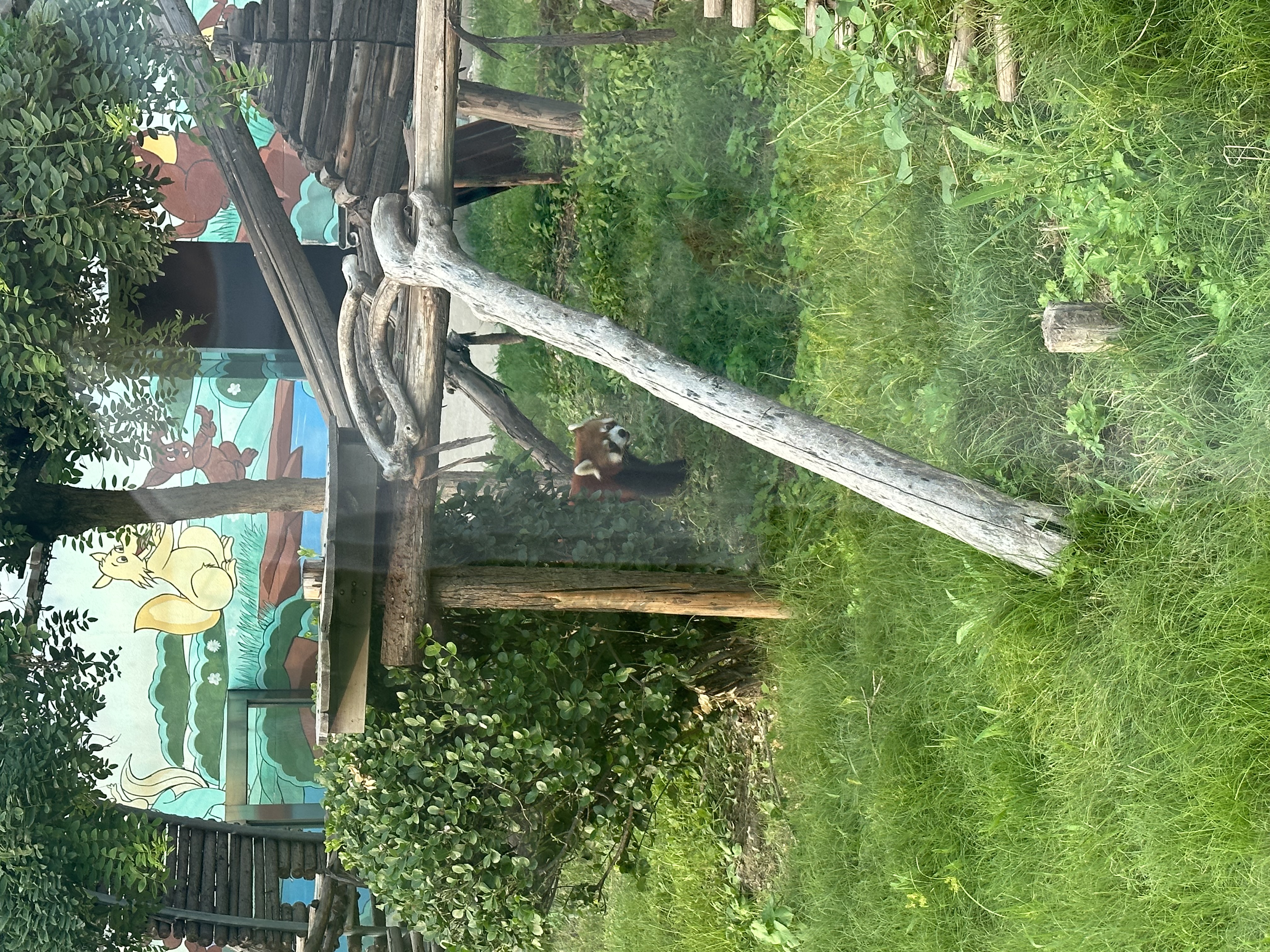 IMG_3389.jpeg IMG_3389.jpeg