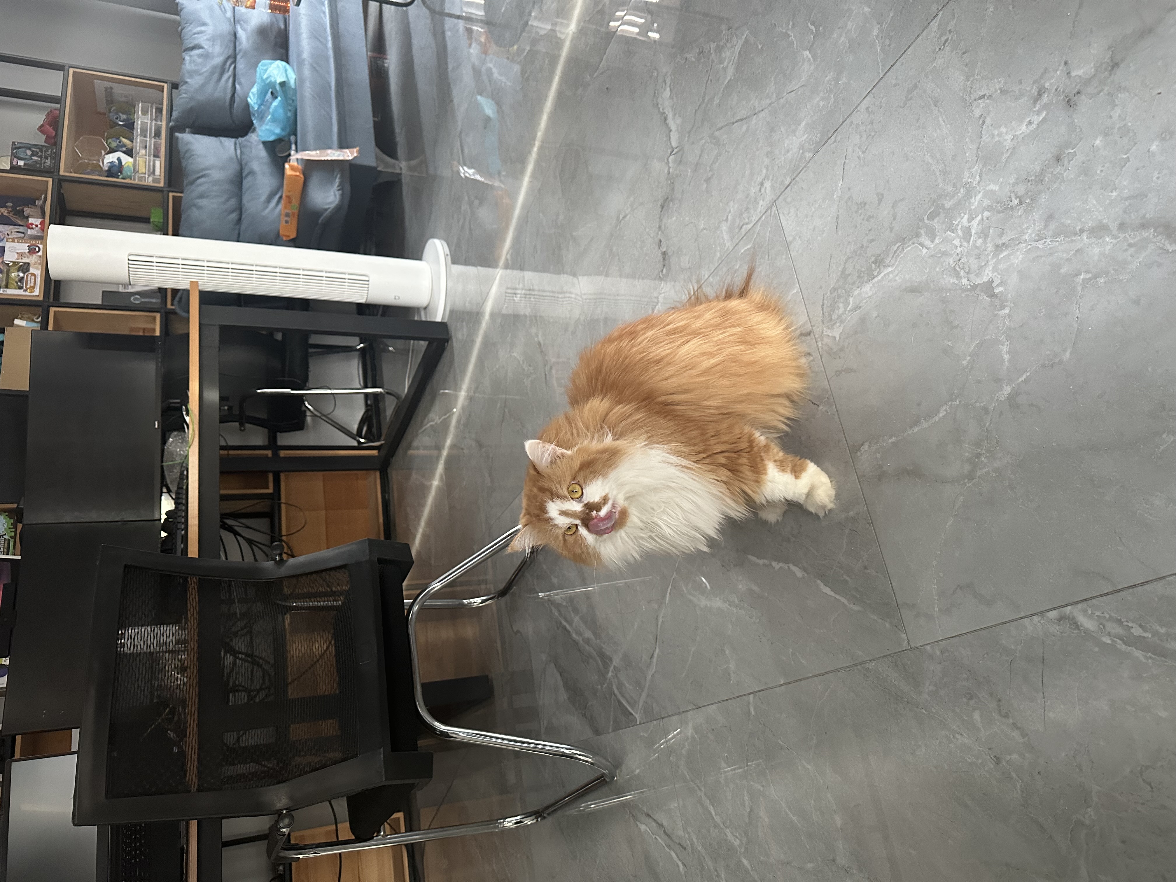 IMG_3717.jpeg IMG_3717.jpeg