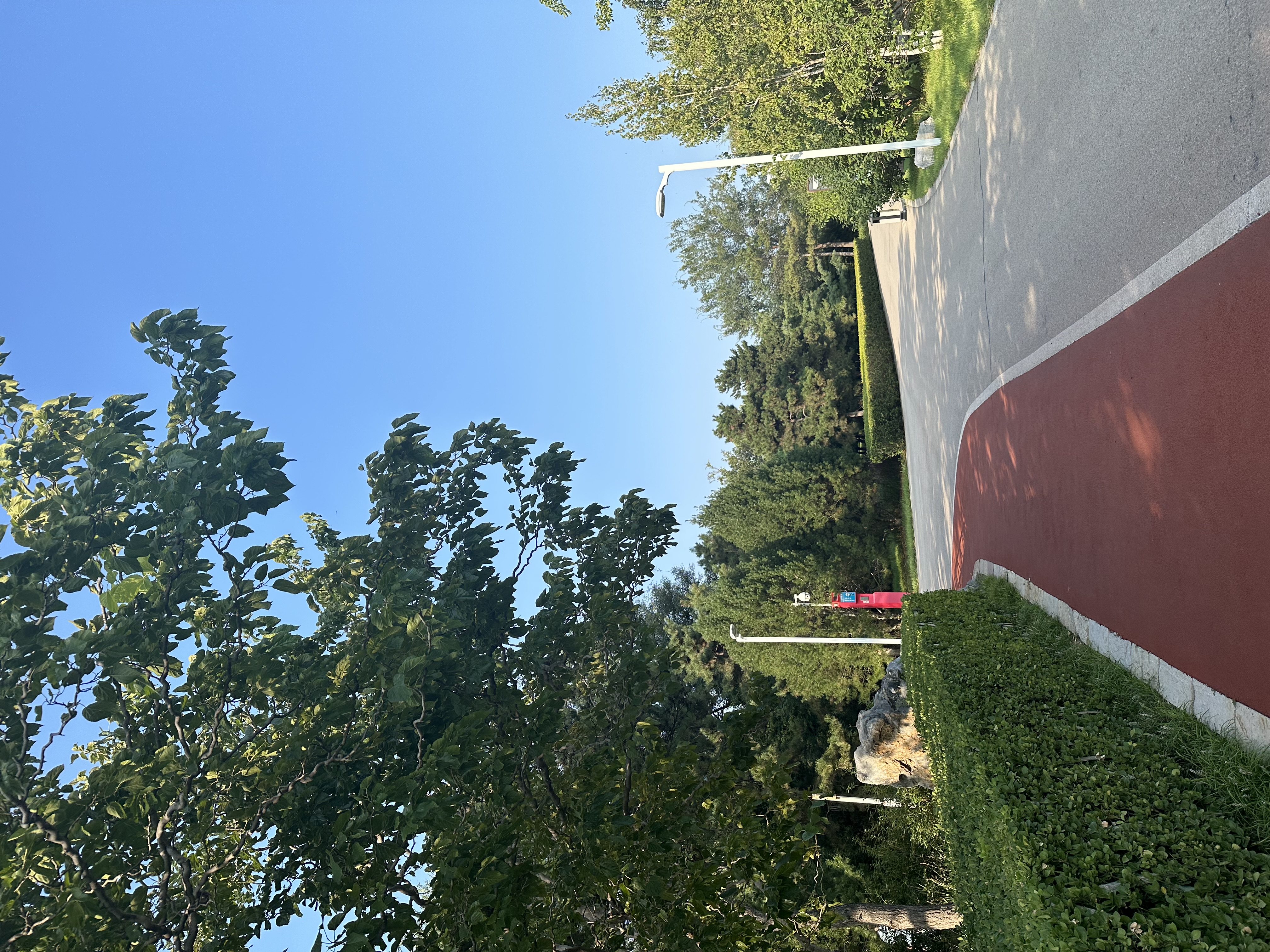 IMG_3232.jpeg IMG_3232.jpeg