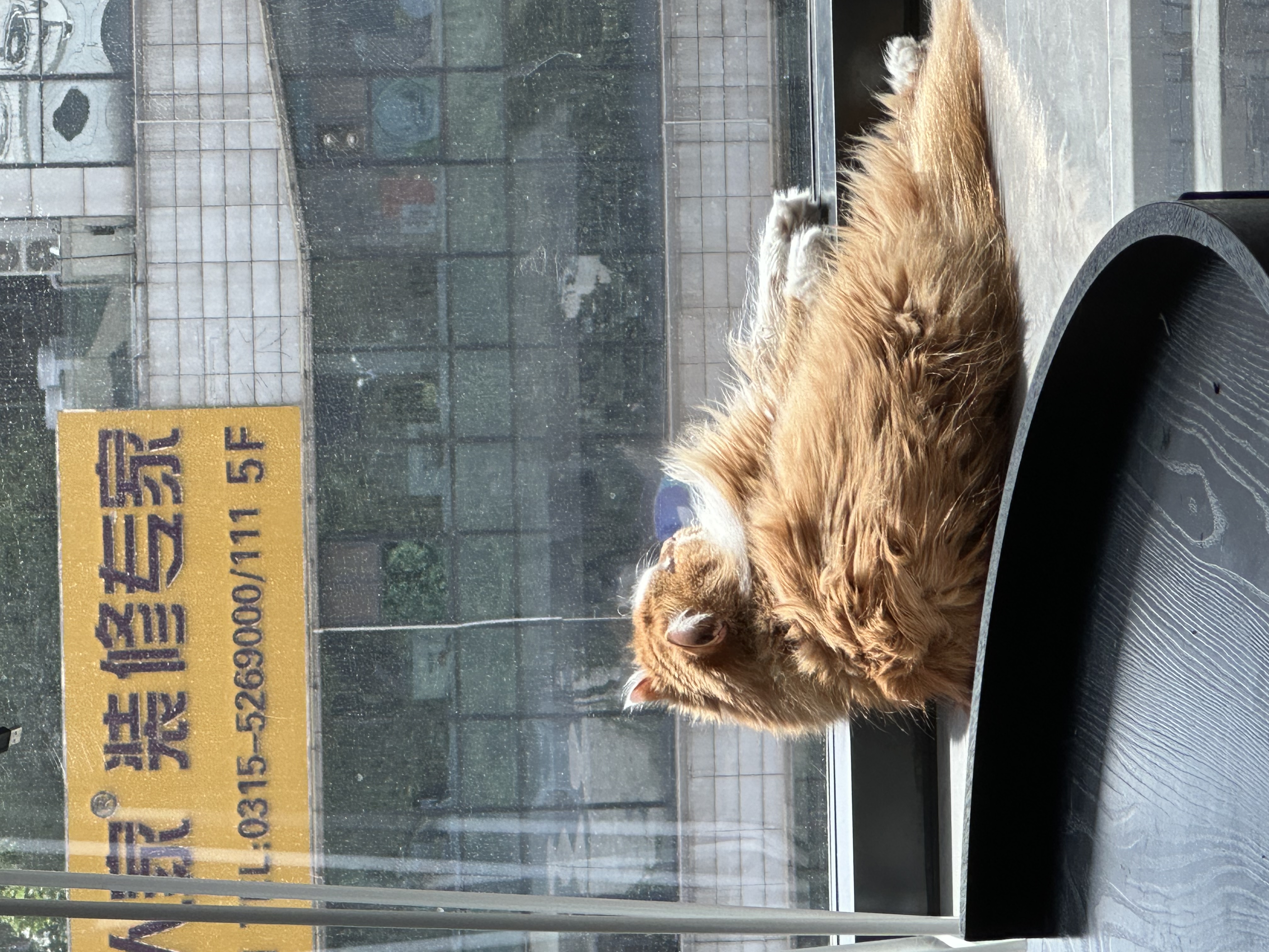 IMG_3708.jpeg IMG_3708.jpeg