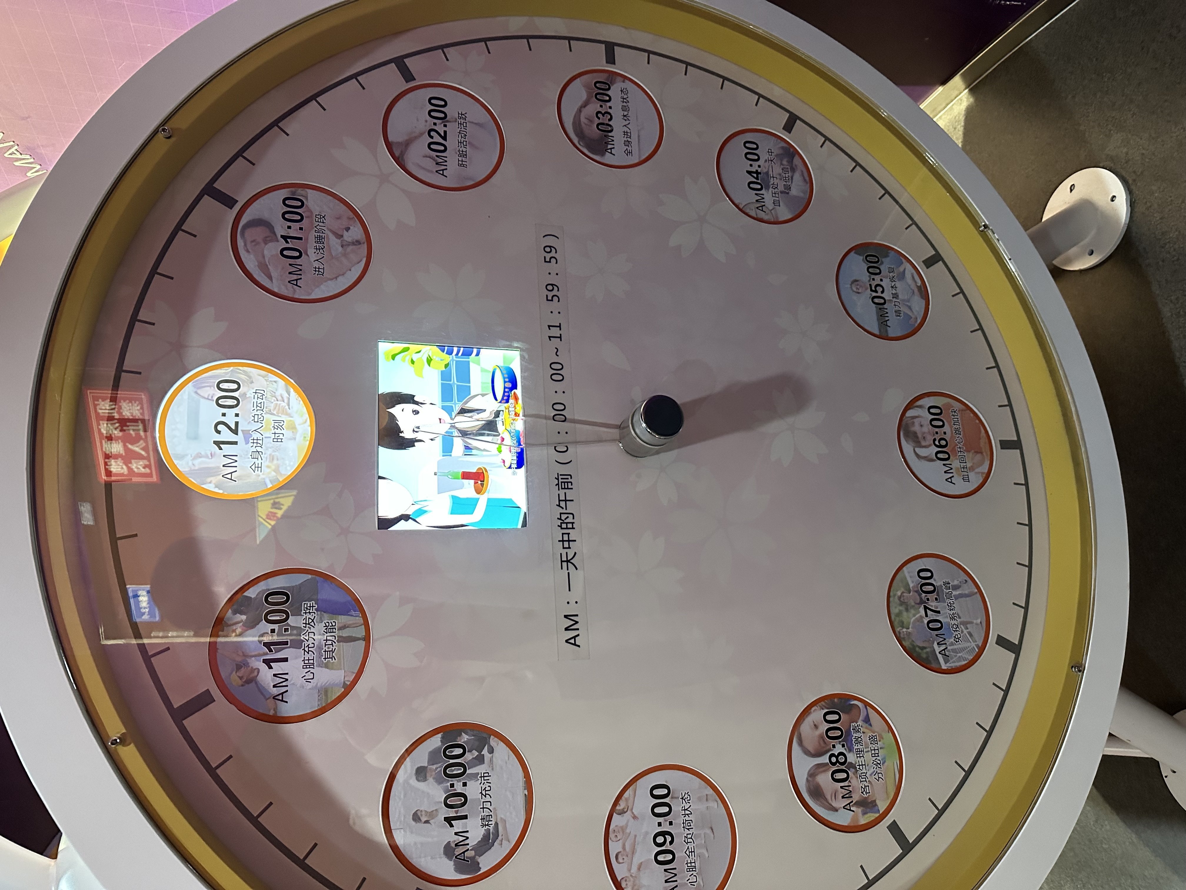 IMG_5383.jpeg IMG_5383.jpeg