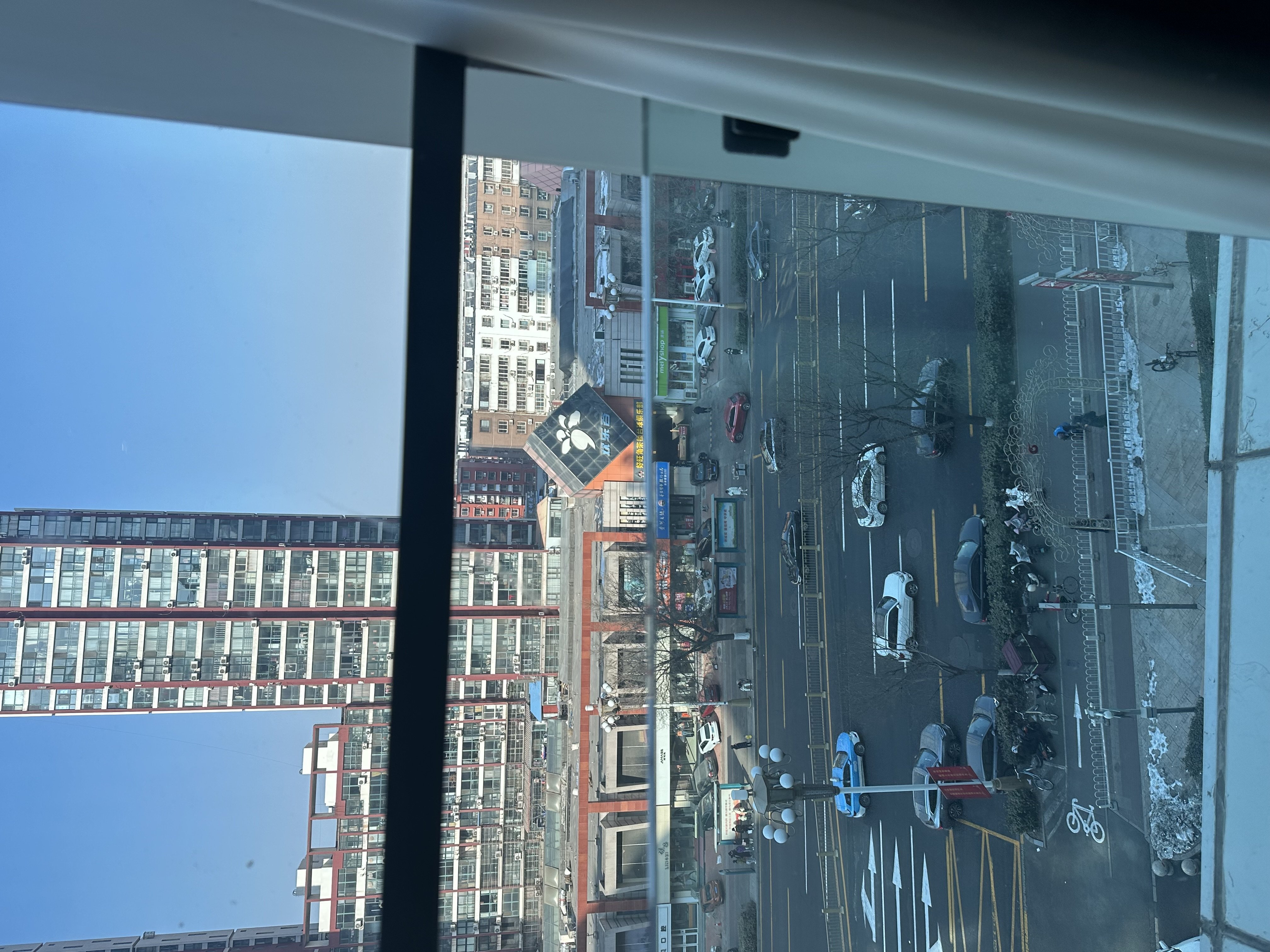 IMG_8302.jpeg IMG_8302.jpeg