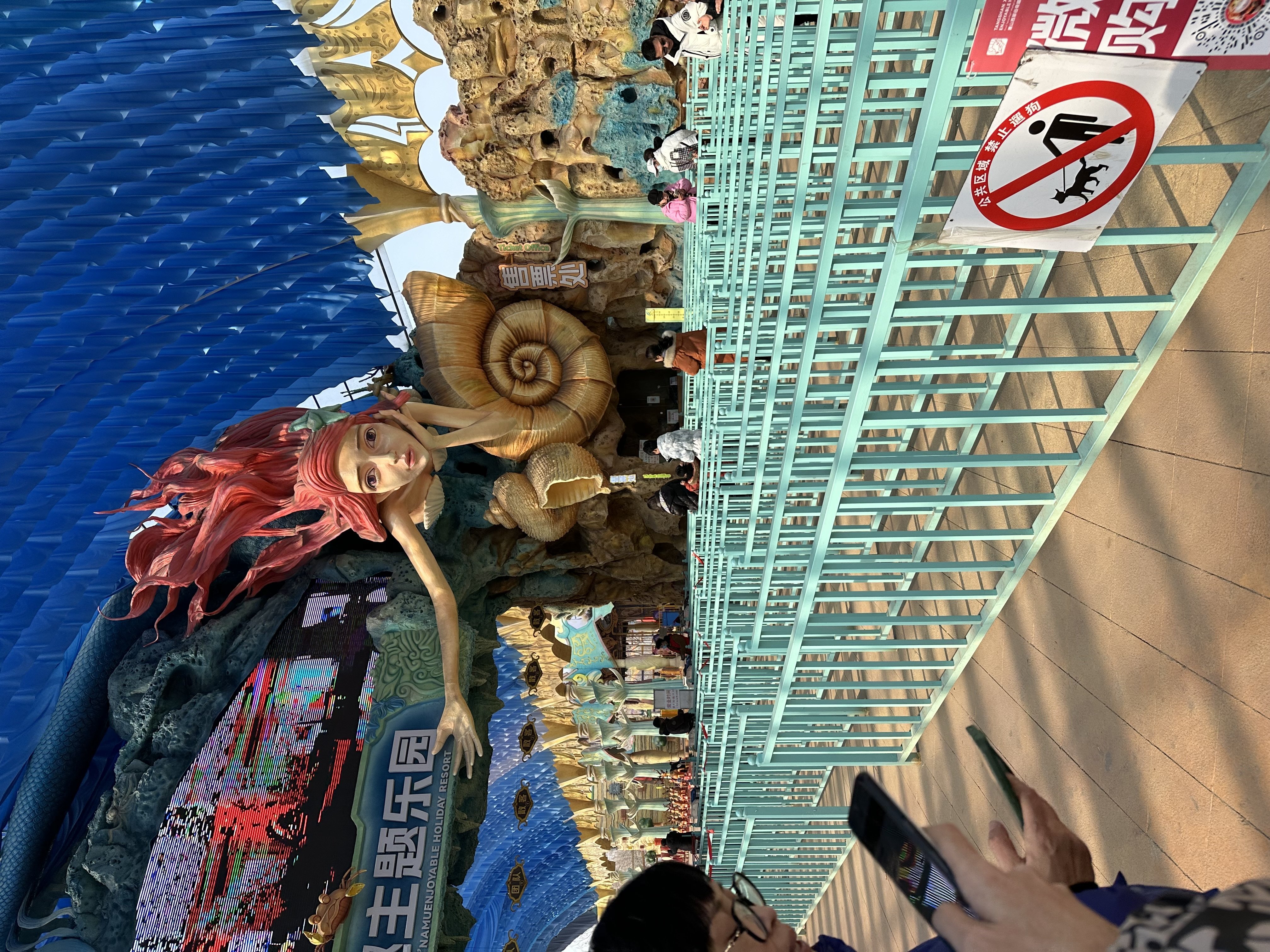 IMG_9140.jpeg IMG_9140.jpeg